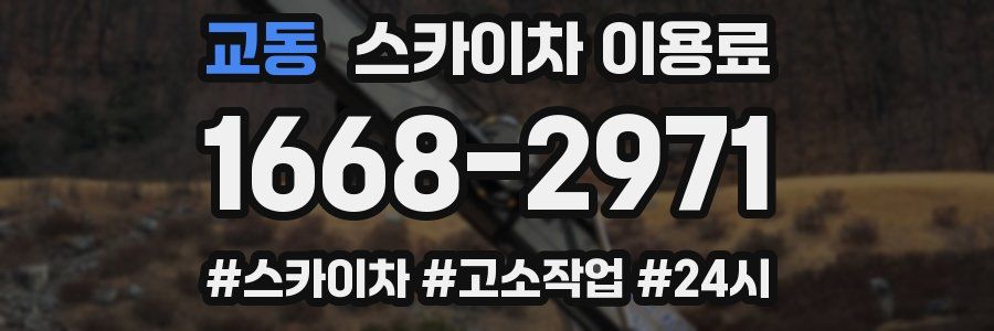 교동 스카이차 이용료