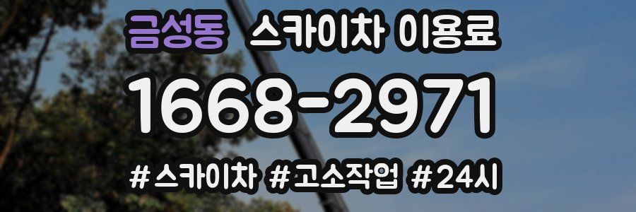 금성동 스카이차 이용료