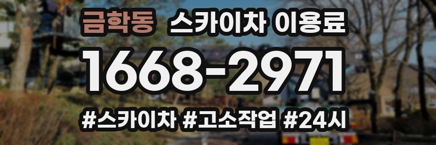 금학동 스카이차 이용료