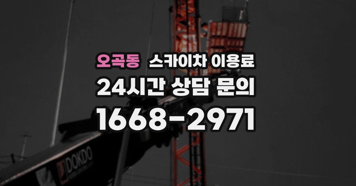 오곡동 스카이차 이용료
