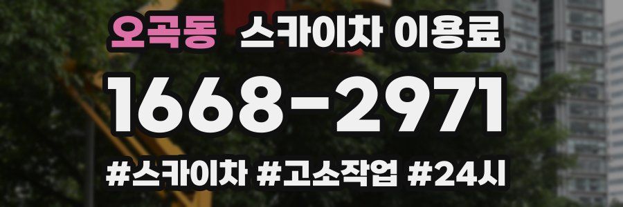 오곡동 스카이차 이용료