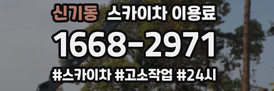 신기동 스카이차 이용료