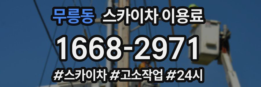 무릉동 스카이차 이용료