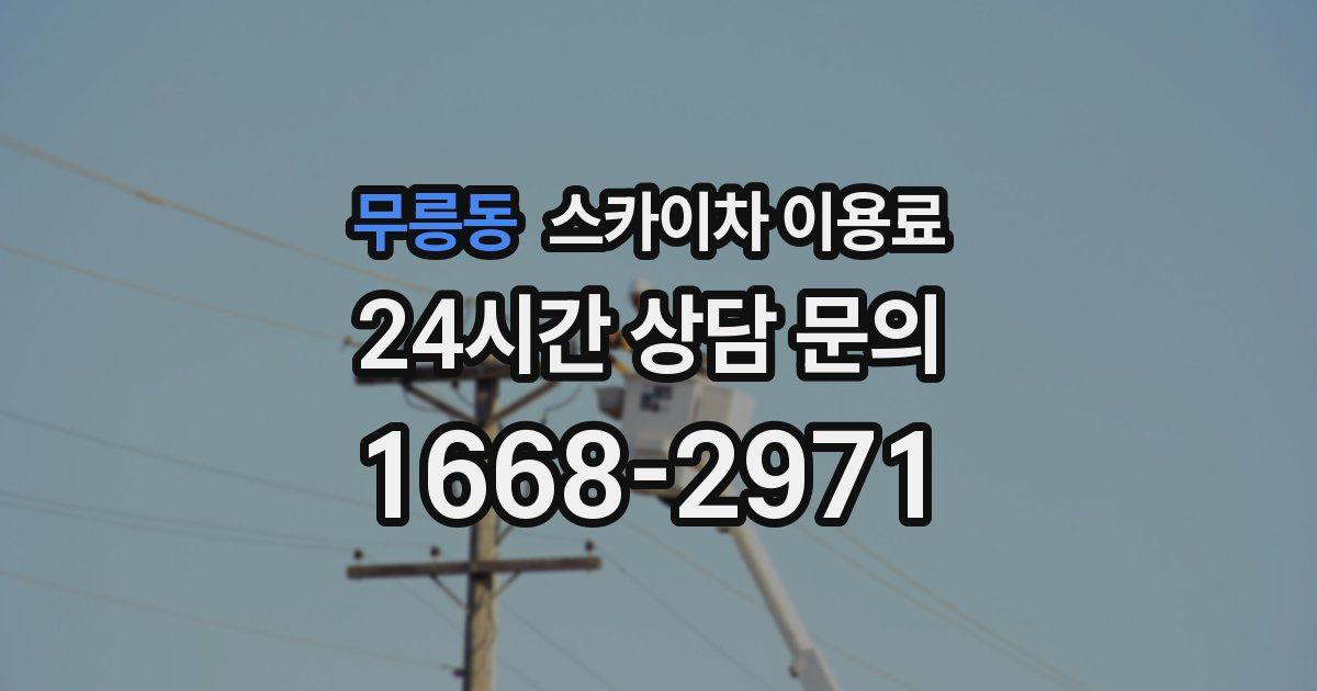 무릉동 스카이차 이용료