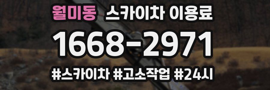월미동 스카이차 이용료