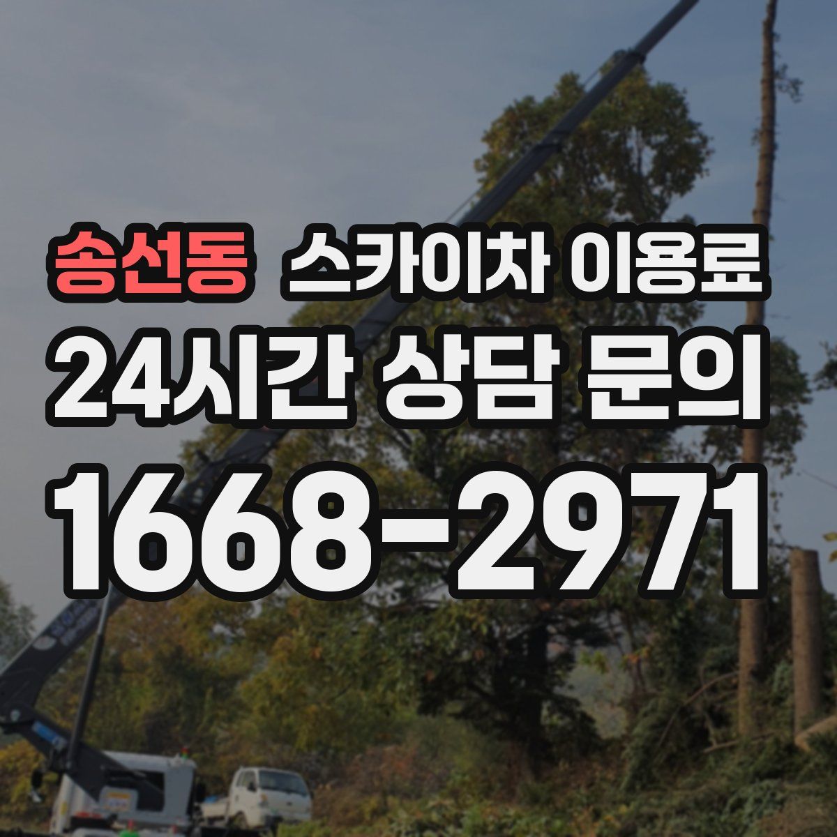 송선동 스카이차 이용료