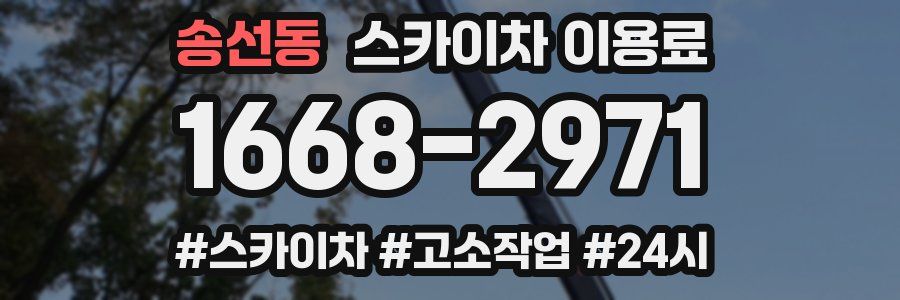 송선동 스카이차 이용료