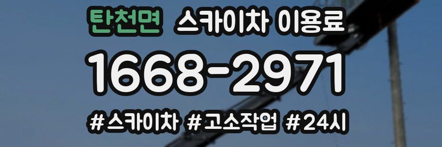 탄천면 스카이차 이용료