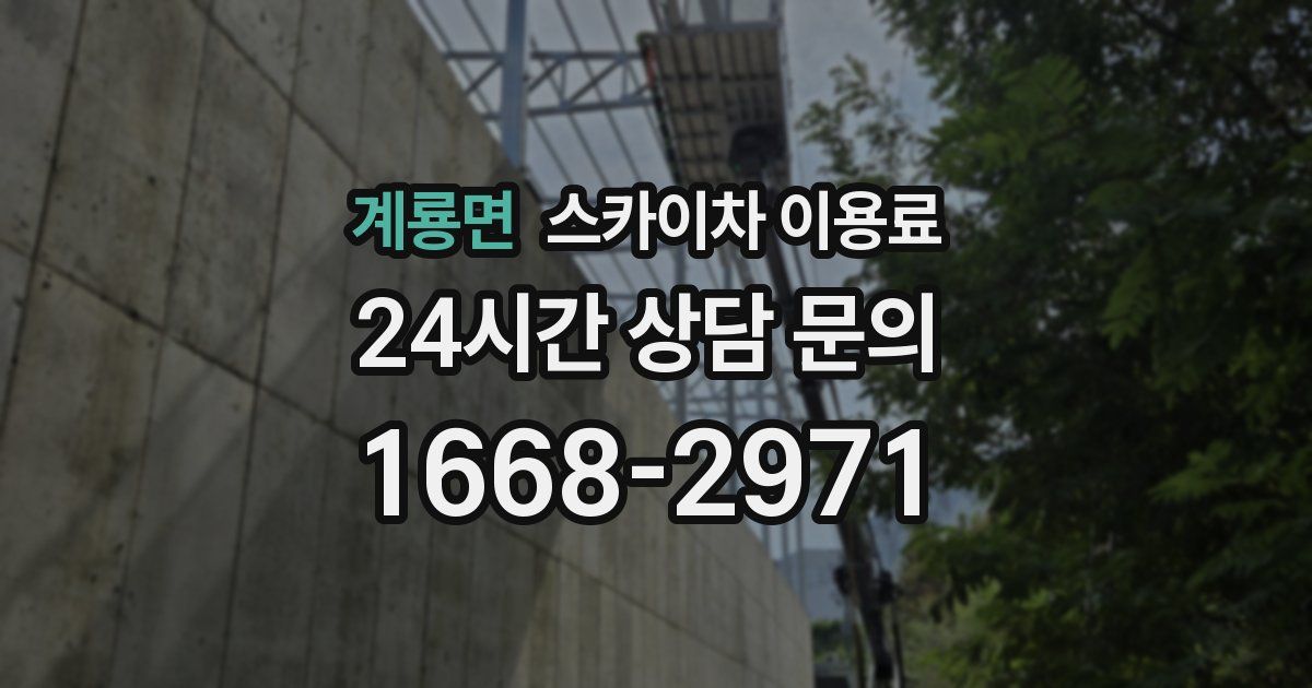 계룡면 스카이차 이용료