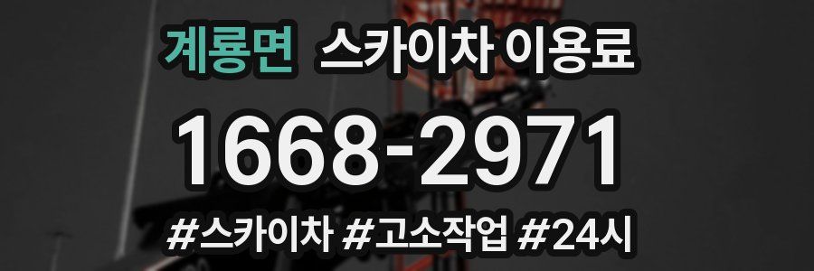 계룡면 스카이차 이용료
