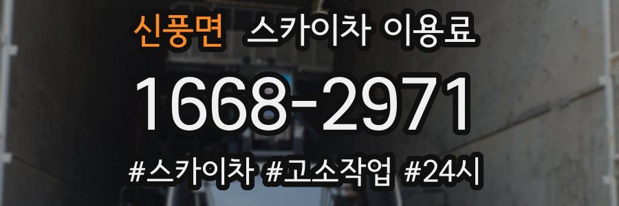 신풍면 스카이차 이용료