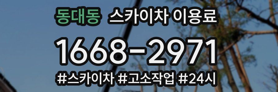 동대동 스카이차 이용료