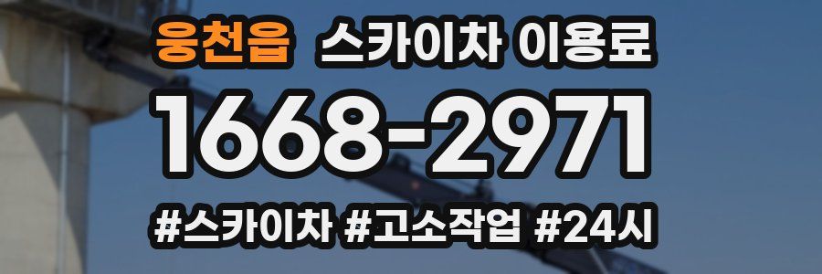 웅천읍 스카이차 이용료