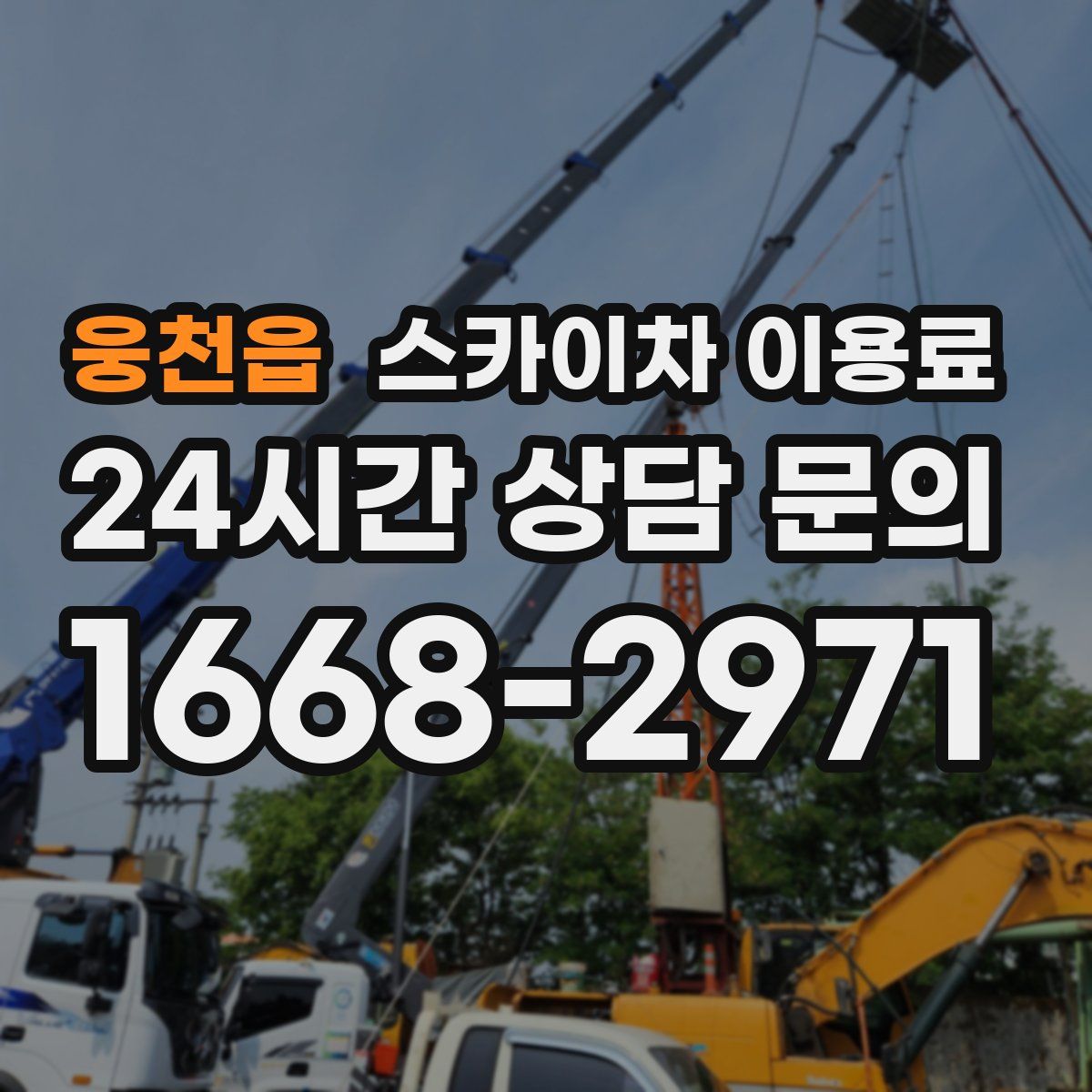 웅천읍 스카이차 이용료