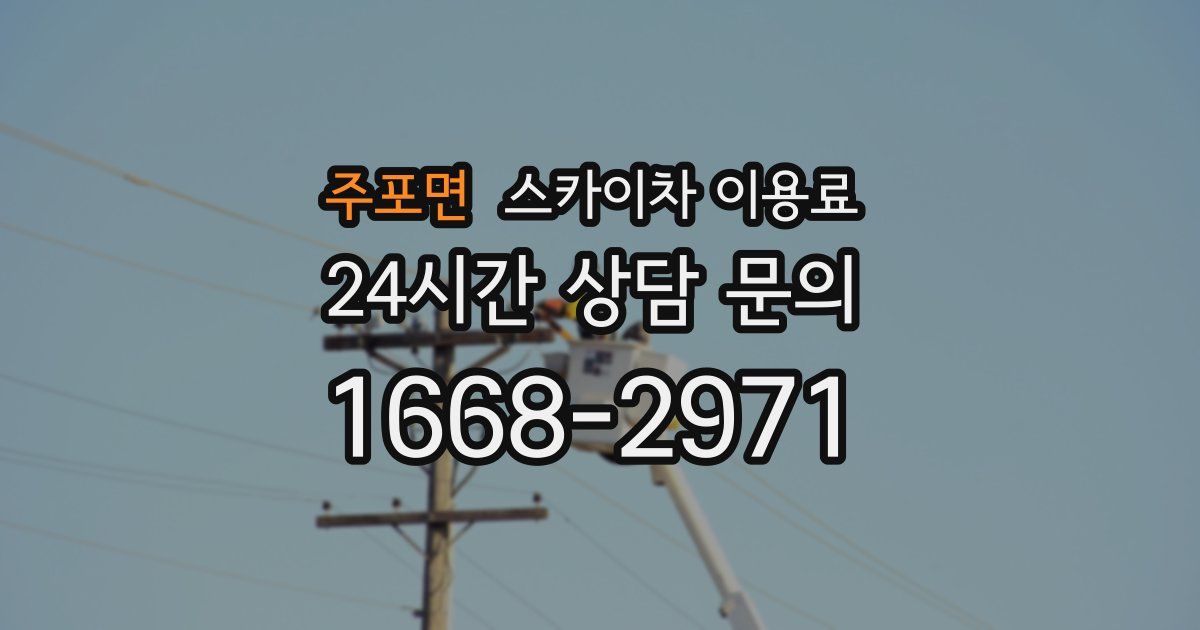 주포면 스카이차 이용료