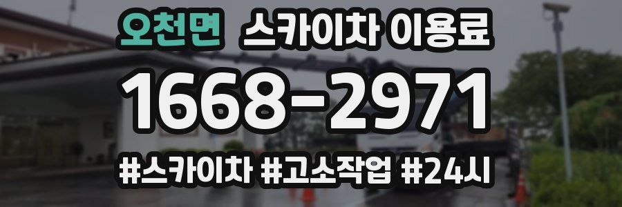 오천면 스카이차 이용료
