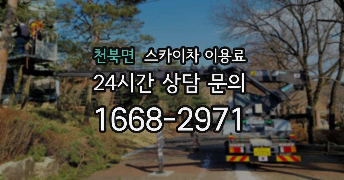천북면 스카이차 이용료