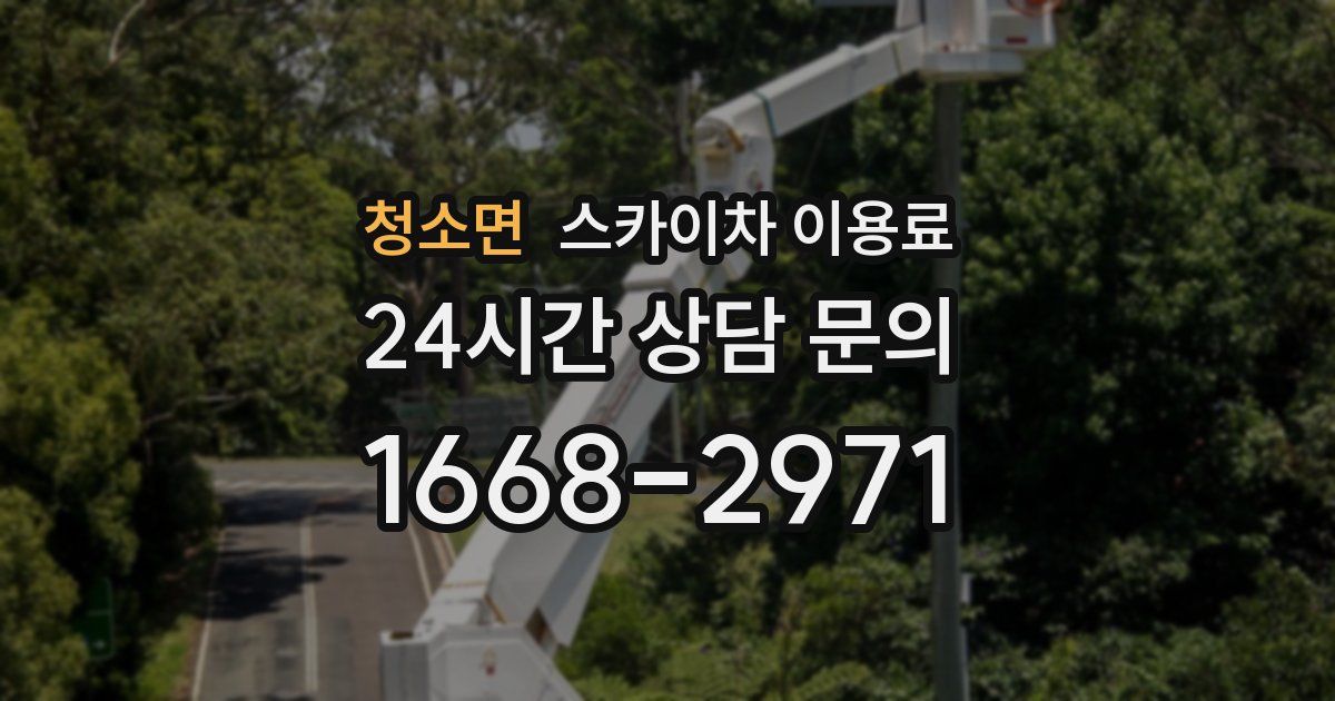 청소면 스카이차 이용료