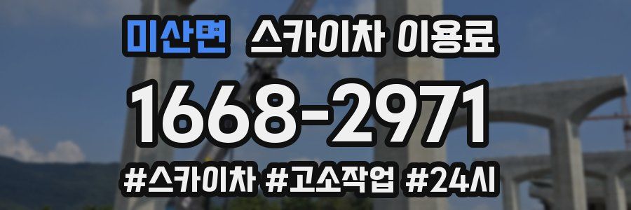 미산면 스카이차 이용료