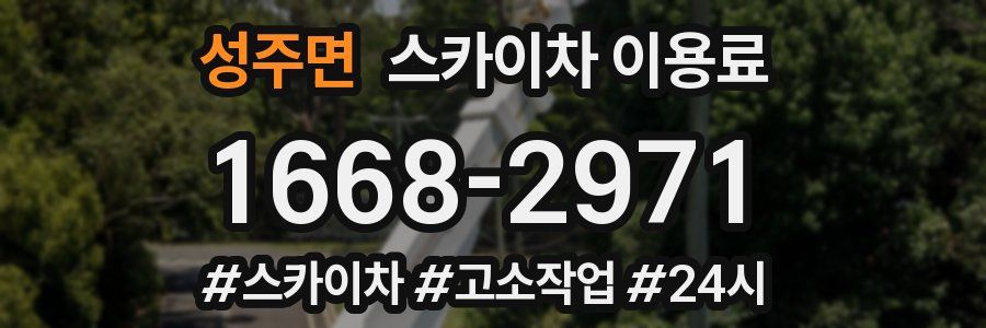 성주면 스카이차 이용료