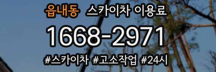 읍내동 스카이차 이용료