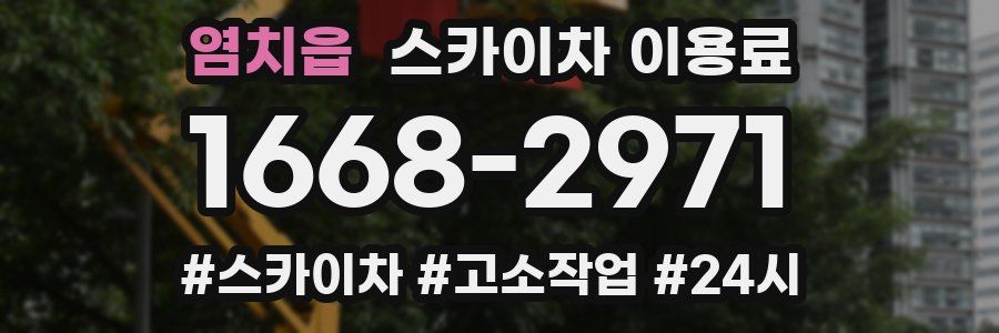 염치읍 스카이차 이용료