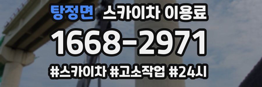 탕정면 스카이차 이용료