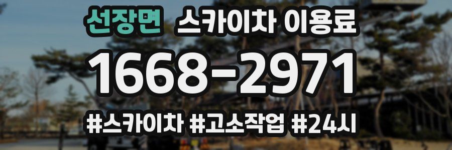 선장면 스카이차 이용료