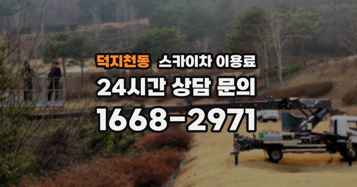 덕지천동 스카이차 이용료