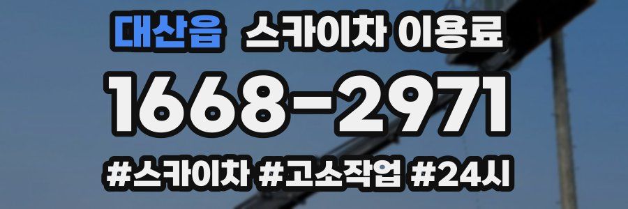 대산읍 스카이차 이용료