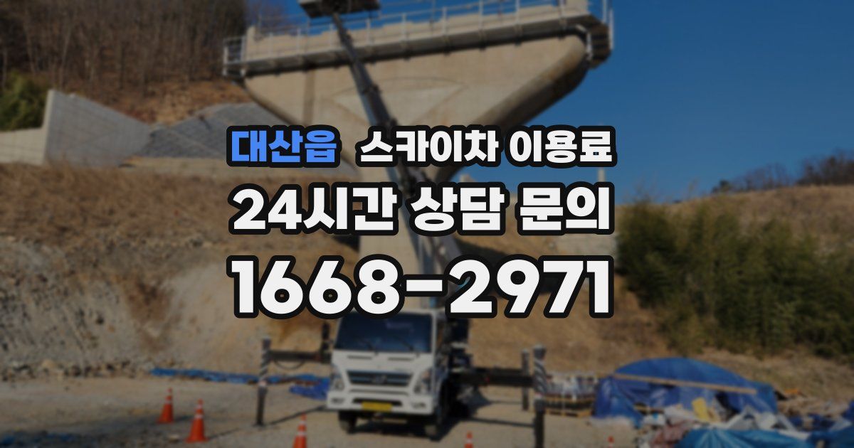 대산읍 스카이차 이용료