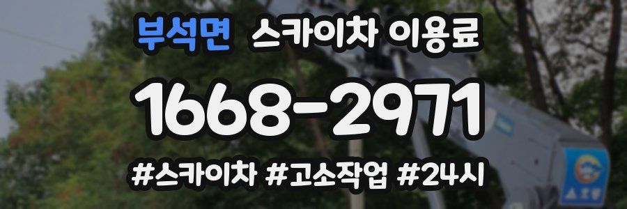 부석면 스카이차 이용료