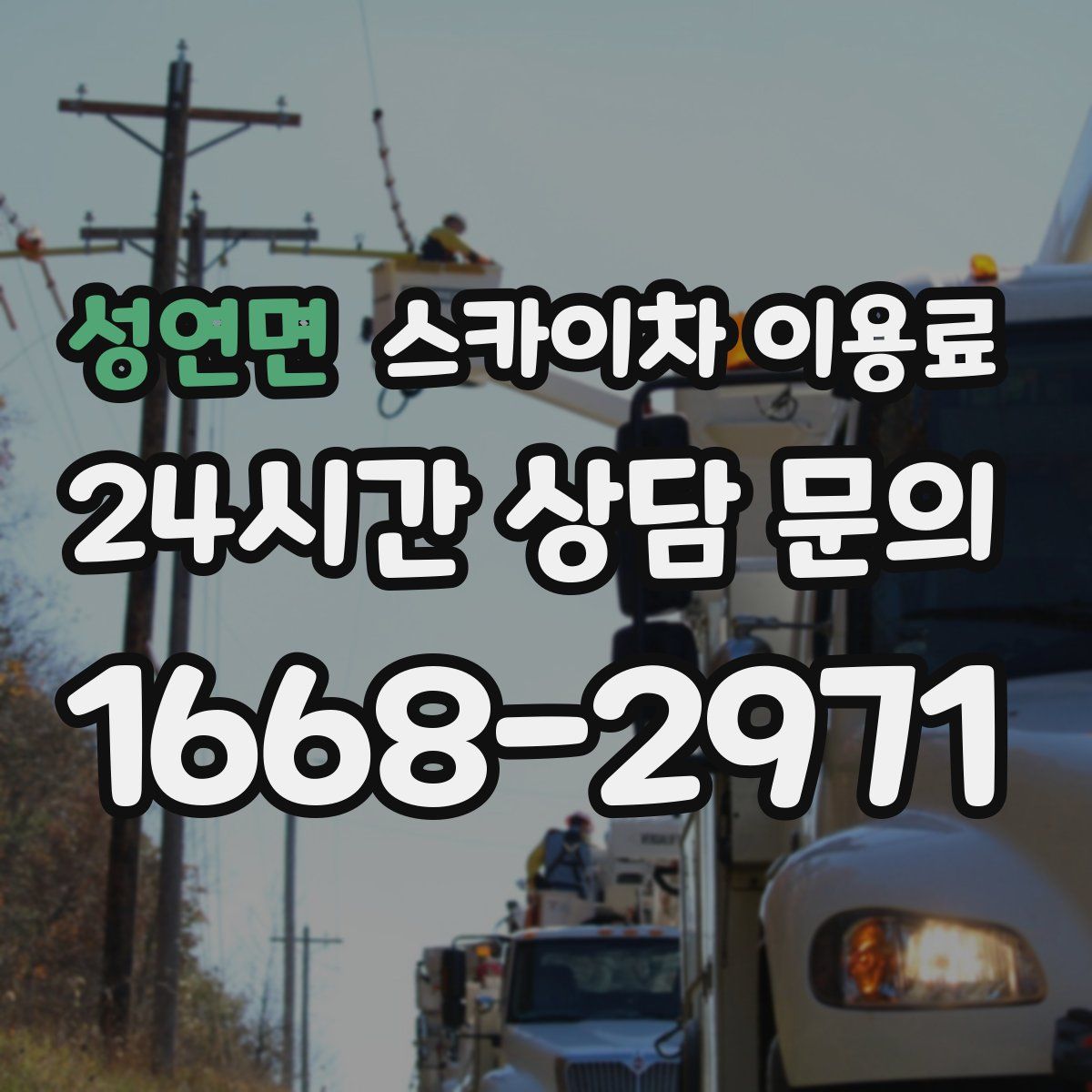 성연면 스카이차 이용료