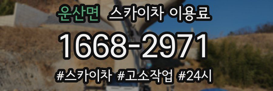 운산면 스카이차 이용료