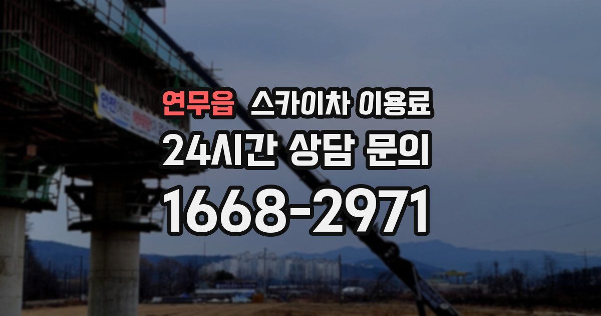 연무읍 스카이차 이용료