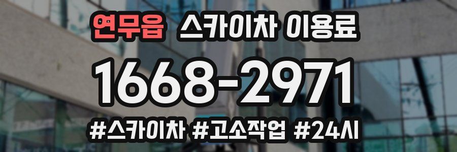 연무읍 스카이차 이용료