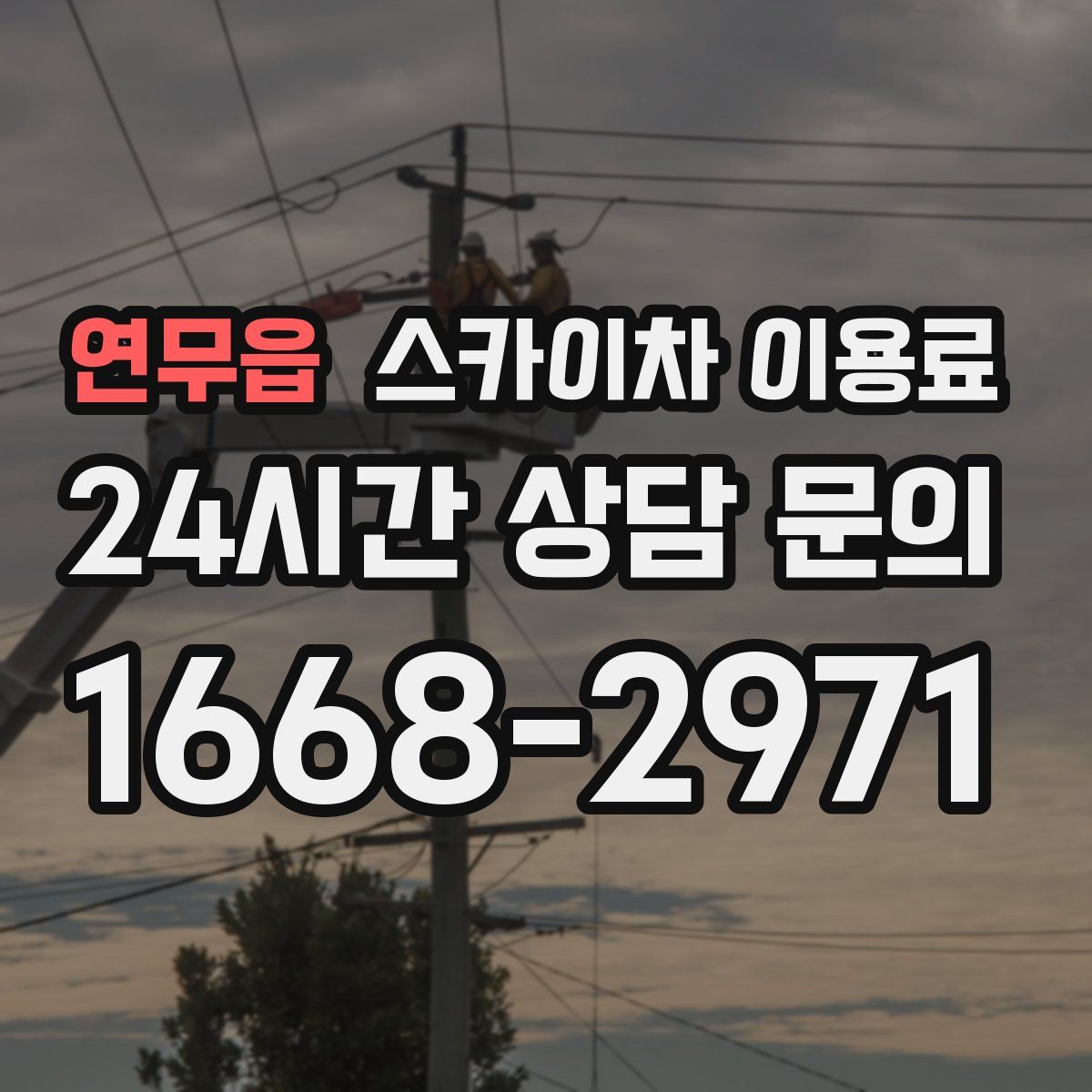 연무읍 스카이차 이용료