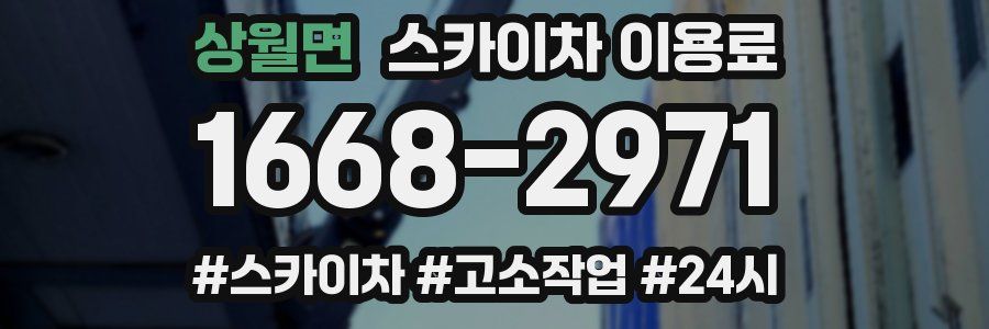 상월면 스카이차 이용료
