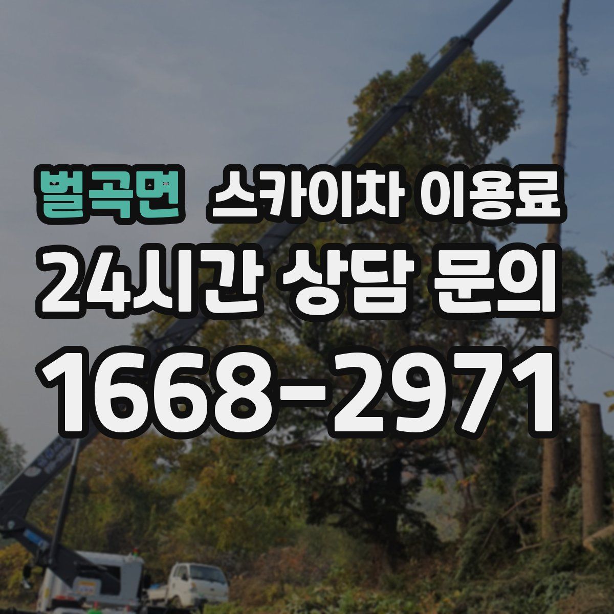 벌곡면 스카이차 이용료
