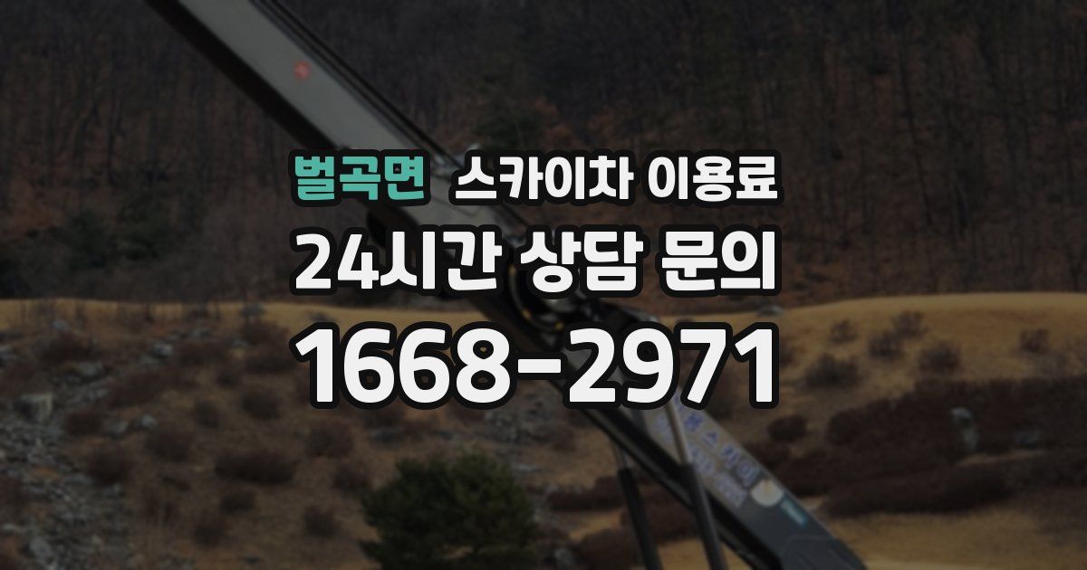 벌곡면 스카이차 이용료