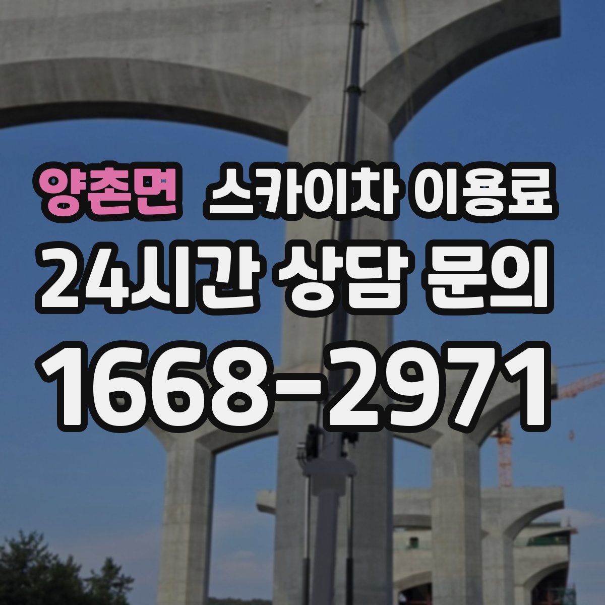 양촌면 스카이차 이용료