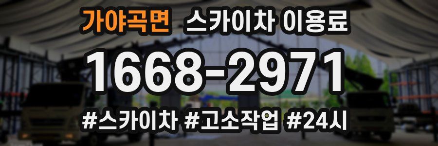 가야곡면 스카이차 이용료