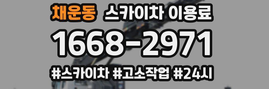 채운동 스카이차 이용료