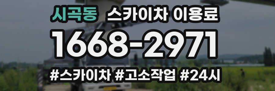 시곡동 스카이차 이용료