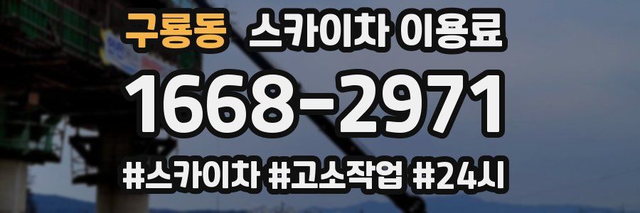 구룡동 스카이차 이용료