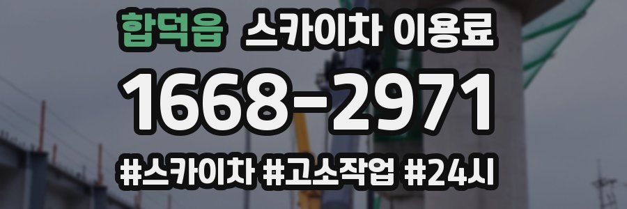 합덕읍 스카이차 이용료