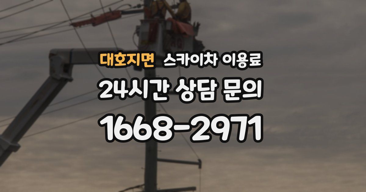 대호지면 스카이차 이용료