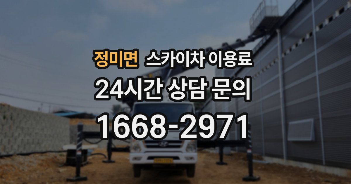 정미면 스카이차 이용료