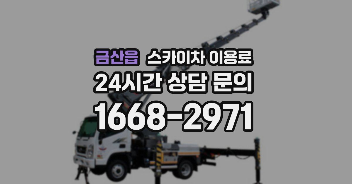 금산읍 스카이차 이용료