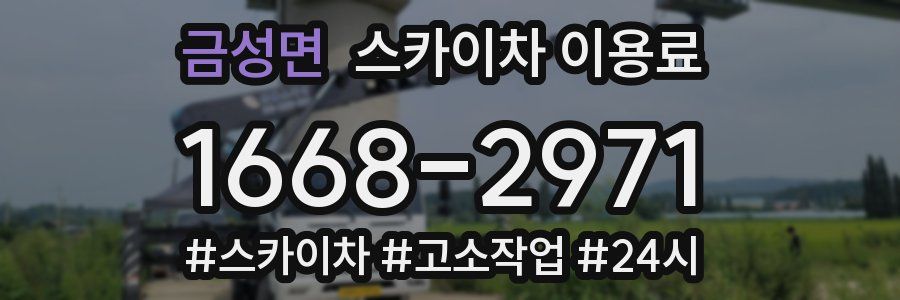 금성면 스카이차 이용료